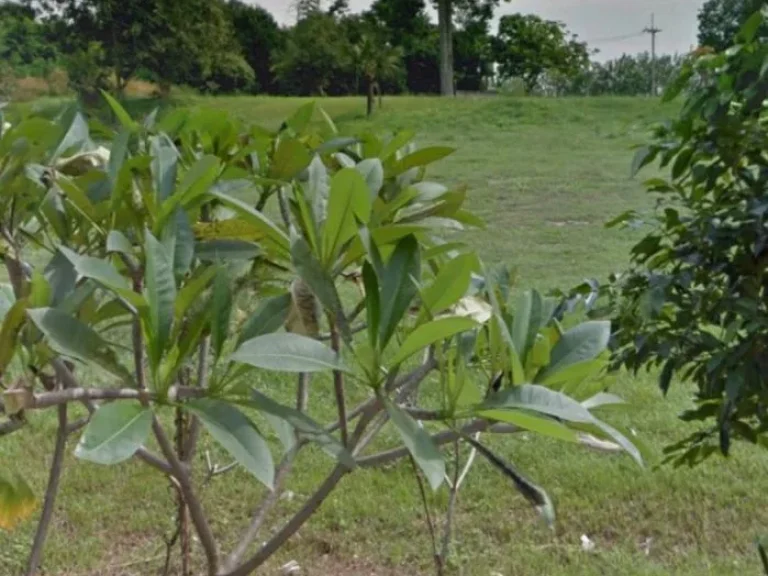 ขายที่ดินติดทะเล 90 เมตร ติดถนนสุขุมวิท