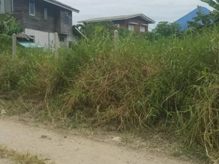 ขายด่วนที่ดินถมแล้วเหมาะสร้างบ้านอยู่อาศัย อยู่ถนนประชาอุทิศซอย 76