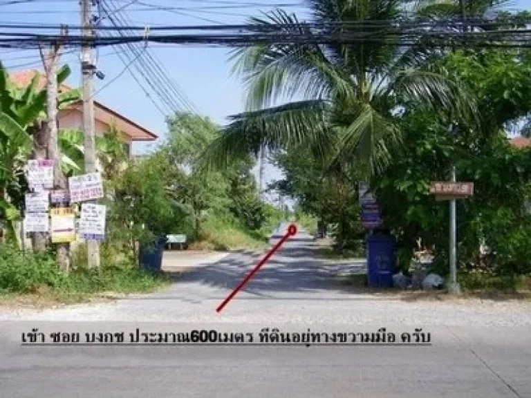 ขายที่ิดินซอยบงกช 91 คลอง 2 ถนนรังสิตนครนายก คลองสอง คลองหลวง ปทุมธานี จำนวน186ตรว