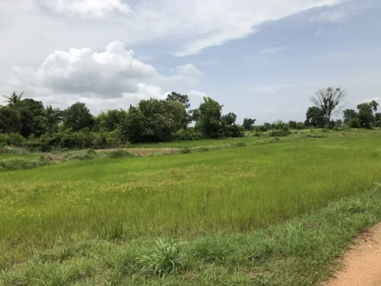 ขายที่ดิน เป็นโฉนด ติดถนนดำใหญ่สายหลักA อำเภออรัญประเทศ จังหวัดสระแก้ว