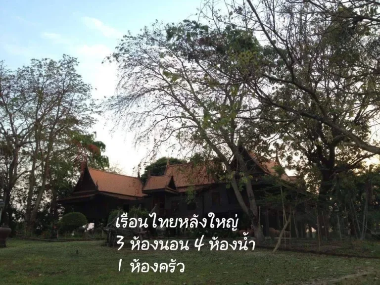 ขายที่ดินพร้อมบ้านเรือนไทย เนื้อที่ 17ไร่ ตบ้านเกาะ อบางไทร จอยุธยา