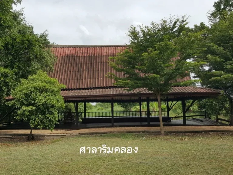 ขายที่ดินพร้อมบ้านเรือนไทย เนื้อที่ 17ไร่ ตบ้านเกาะ อบางไทร จอยุธยา