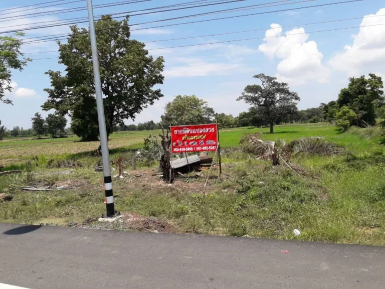 ขายที่ดินแปลงสวย ทำเลทอง ปากทางบ้านหนองบัว ตหัวเรือ อวาปีปทุม ติดถนน 4 เลนเส้นพยัคฆ์ฯ-นาดูน-วาปีปทุม