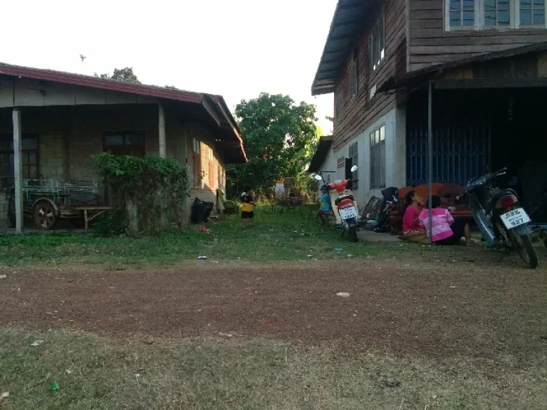 ขายด่วน บ้านพร้อมที่ดินโพนพิสัย ติดถนนหลัก โพนพิสัย หนองคาย