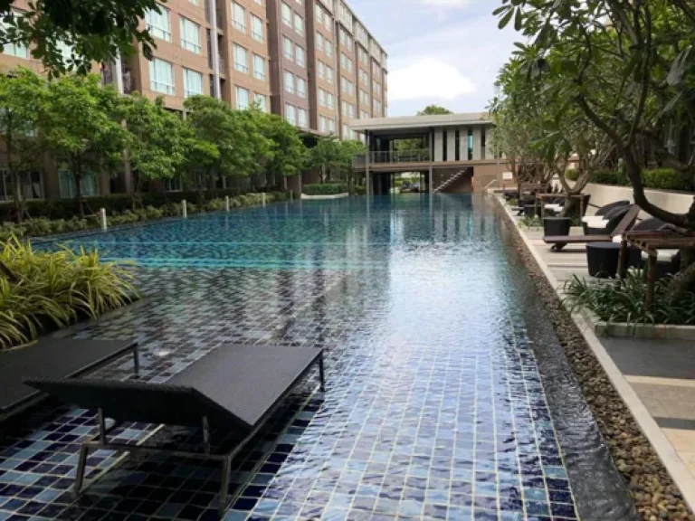 MT-0038 -คอนโดเช่า Dcondo Campus วิวสวยมากๆมี 1 ห้องนอน 1 ห้องน้ำ 1 ห้องครัว 1 ที่จอดรถ ตรัษฎา อเมือง