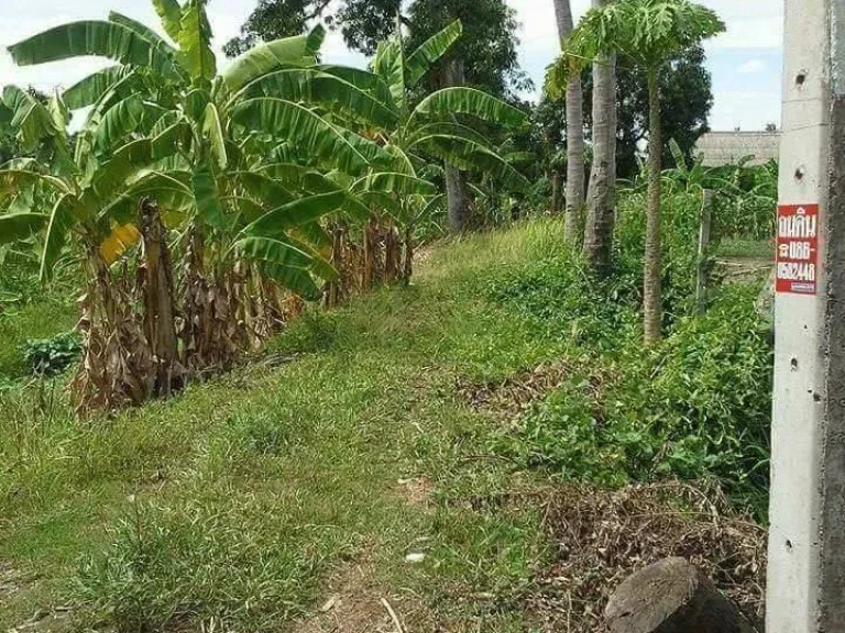 ขายที่ดินทำเลทองติดสถานีรถไฟฟ้าบางรักใหญ่