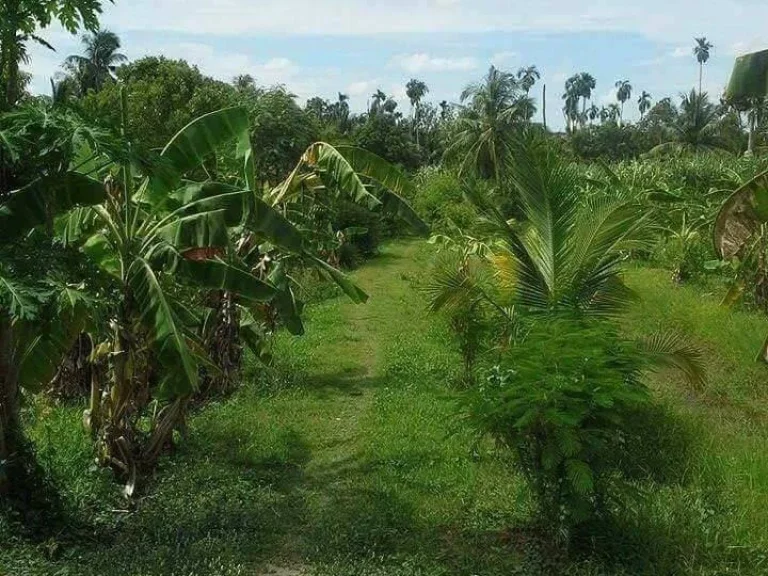 ขายที่ดินทำเลทองติดสถานีรถไฟฟ้าบางรักใหญ่