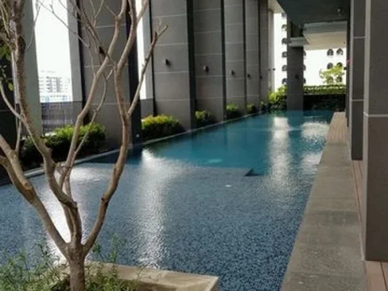 NC320 ขายคอนโดThe Capital Ekamai-Thonglor - 1bedroom ขนาด33ตรม ชั้น15