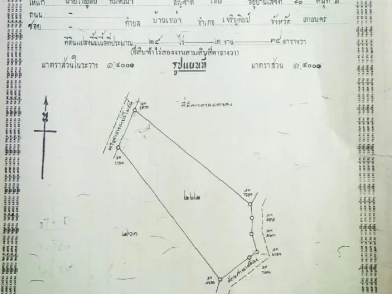 ขายที่ดินฉโนดพร้อมไร่ไม้พะยูงติดถนนเส้นบ้านม่วง-บึงกาฬ ในอเจริญศิลป์ จสกลนคร เนื้อที่ 49 ไร่ๆละ 90000 บาท