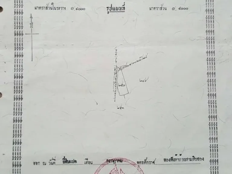 ขายที่ดินติดถนนใหญ่ 107 ทำเลดีมาก อแม่ริม ใกล้ราชภัฎเชียงใหม่ ขนาด 14-0-56 ไร่