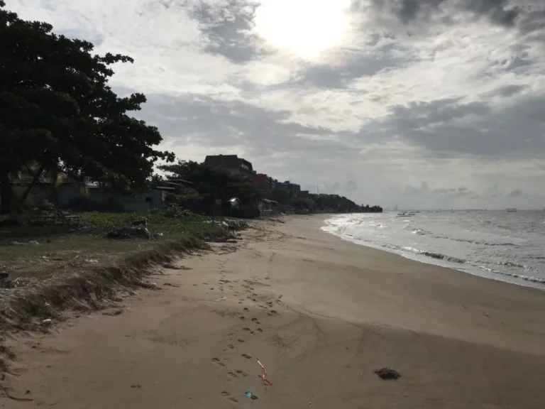 ขายที่ดินติดชายหาด ใกล้สนามบินอู่ตะเภา อำเภอบ้านฉาง จังหวัดระยอง