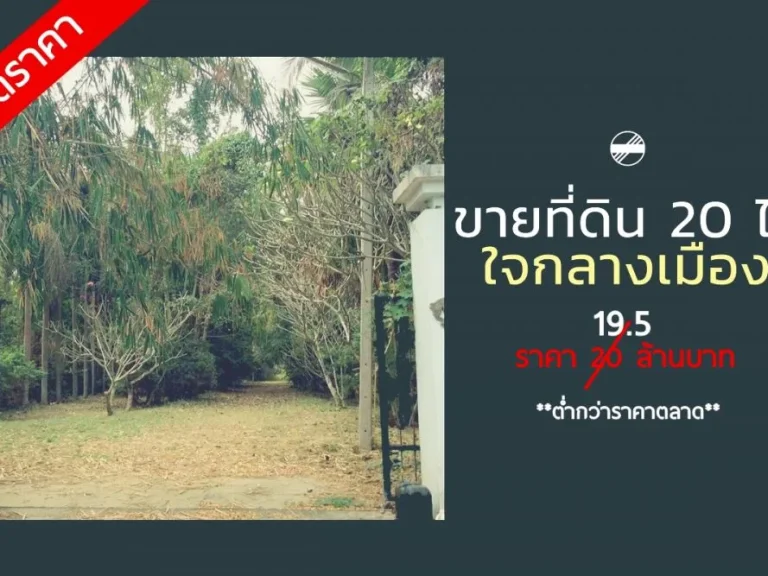 ลดราคา ขายด่วนที่ดิน 20ไร่ ใจกลางเมืองสวนผึ้ง ราคาปกติ 20 ล้าน ลดเหลือ 195 ล้านเท่านั้น ภายในปีนี้ ที่ดินมีน้ำล้อมรอบ และพันธ์ไม้มงคล 100