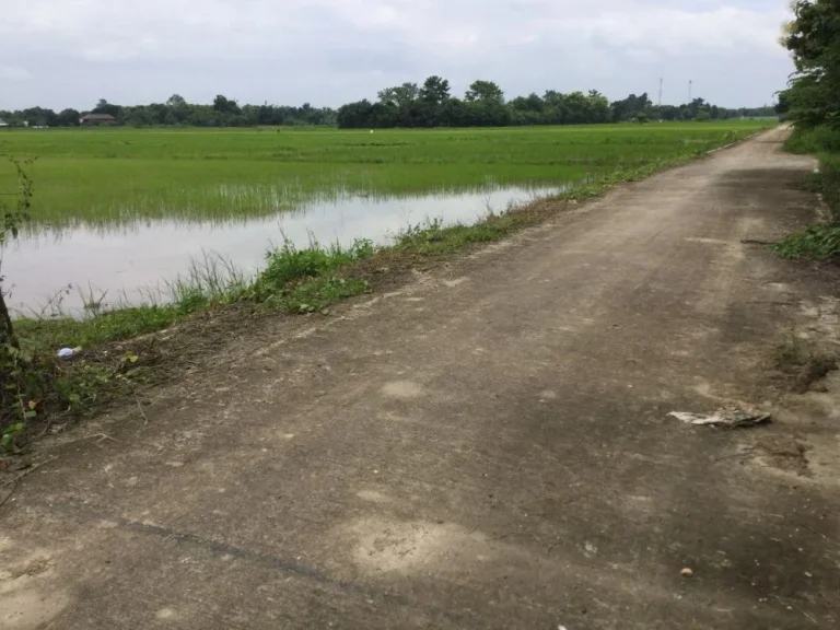 ขานที่นาเห็นวิวดอย สันโป่ง แม่ริม