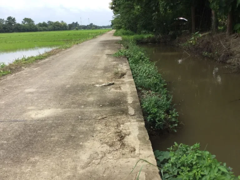 ขานที่นาเห็นวิวดอย สันโป่ง แม่ริม