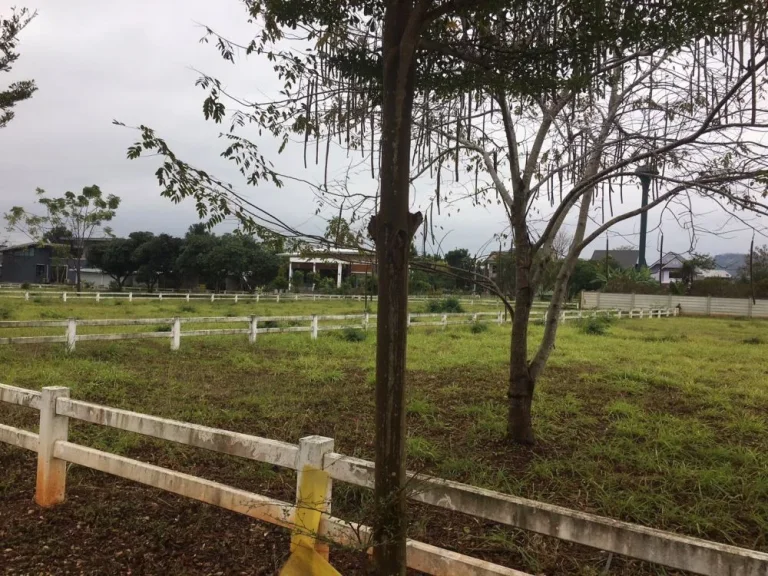 ขายที่ดินจัดสรร โครงการภูพราวฟ้าเขาใหญ่มีโฉนด ตำบลหมูสี อำเภอปากช่อง จังหวัดนครราชสีมา