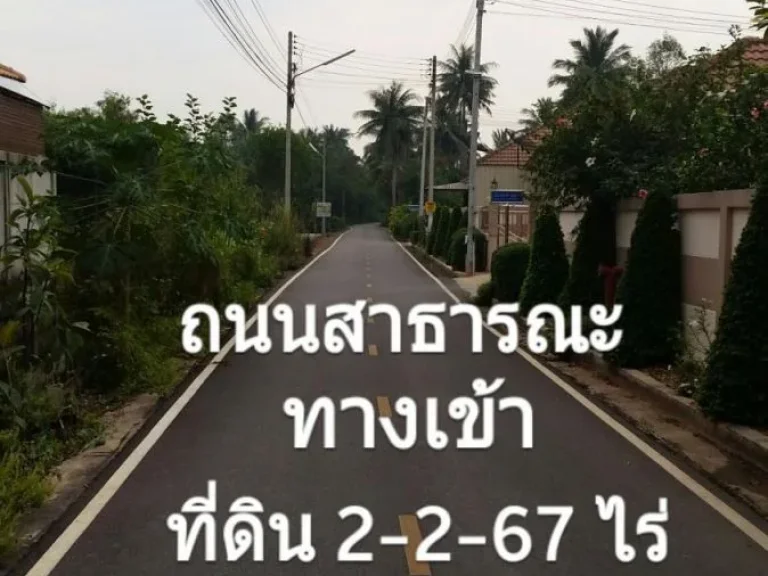 ขายที่ดินติดถนนใหญ่ 59 ไร่ 2 งาน 30 ตรว ฉะเชิงเทรา เหมาะสำหรับลงทุนราคาถูกมาก