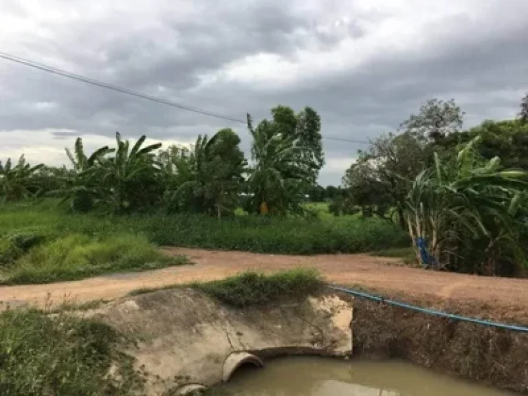 ที่ดินเปล่า ตบ้านหีบ ออุทัย จพระนครศรีอยุธยา เนื้อที่ 15 ไร่ 145 ตรว