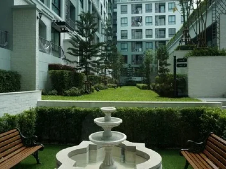 Kensington พหล-เกษตร พหลฯ42 ตรงข้าม มเกษตร ห้อง Pool Access 1bed 35 ตรม