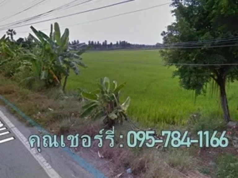 ขายที่ดิน 50ไร่ คลอง12 หนองเสือ ติดถนนลาดยางเรียบคลอง