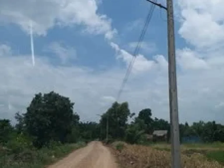 ขายที่ดิน คลอง 11 หนองเสือ 18 ไร่ ติดถนนสาธารณะในซอย เรียบคลองสวย ราคาถูก