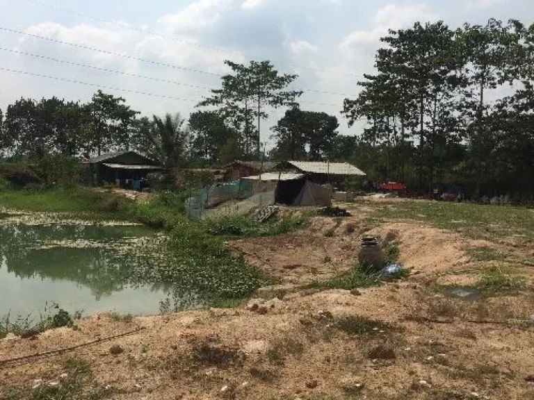 ขายที่ดินสวนผึ้ง 20ไร่ ติดทางหลวง สายชัฎป่าหวาย-น้ำพุ อำเภอสวนผึ้ง จังหวัดราชบุรี