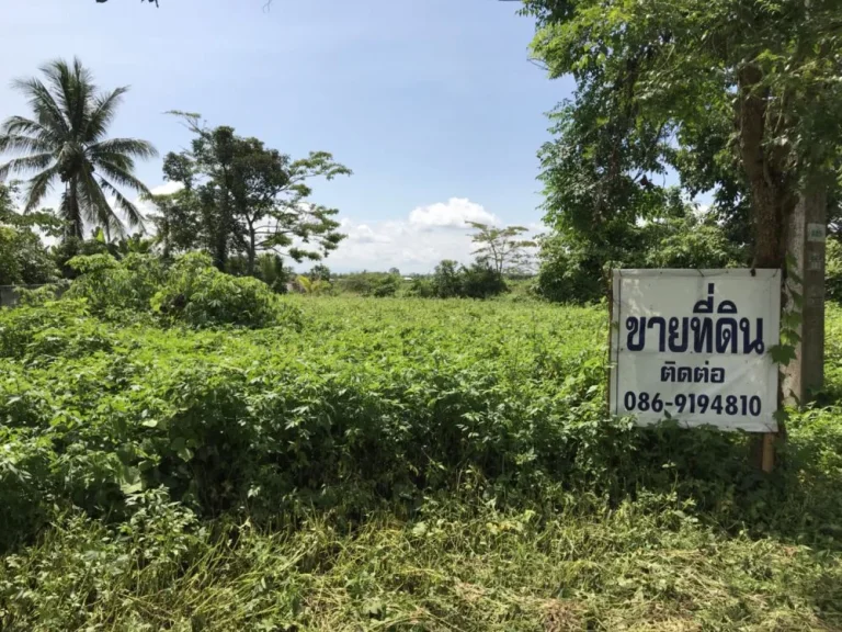 ขายที่ดินติดถนนพหลโยธินตำบลโป่งงาม