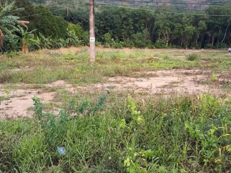 ข่าวดีค่ะที่ทำเลทอง35ไร่ ติดถนนสุขุมวิทจันทบุรีตราด จจันทบุรี