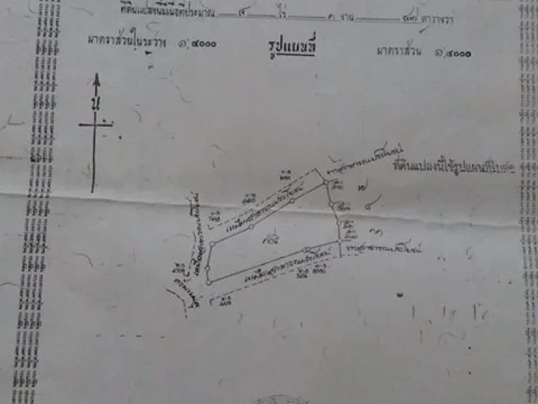 ที่ดินเชียงดาววิวหลักล้าน