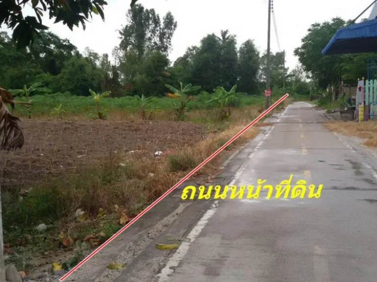 ประกาศขายที่ดิน 8 ไร่