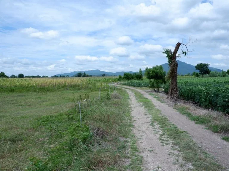 ที่ดินโฉนด 100ตรว สวย สงบ ตคลองเกต อโคกสำโรง ลพบุรี