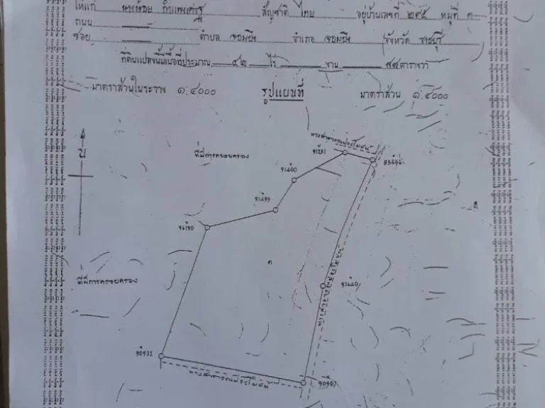 ขายที่ดิน 100 ไร่ ราคาถูก เหมาะกับการทำธุรกิจ พร้อมทำหมู่บ้านจัดสรร สร้างโรงงาน หรือซื้อไว้เพื่อเก็งกำไร