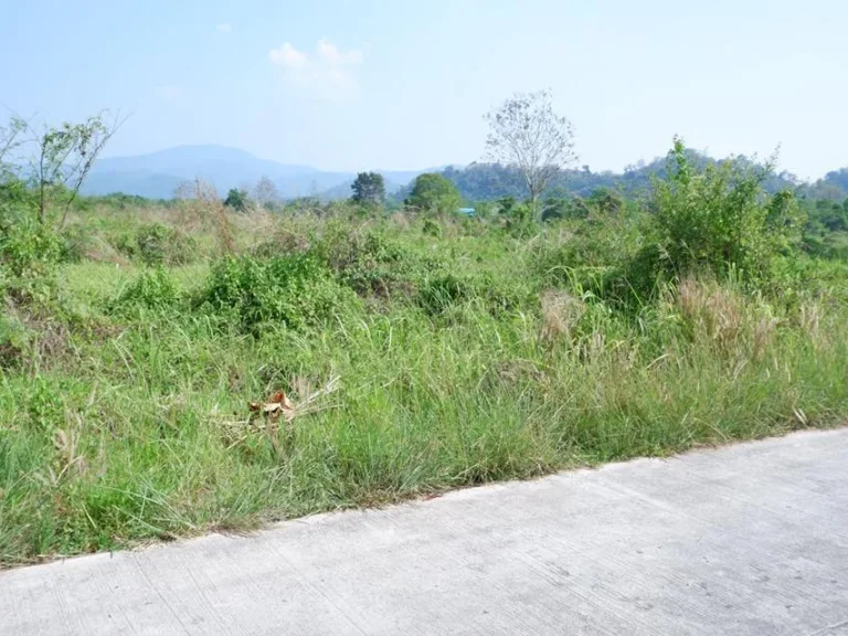 ที่ดิน โฉนด 3-4ไร่ วิวเขาติดถนนคอนกรีต ตชะอม อแก่งคอย จสระบุรี