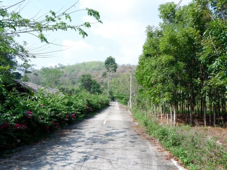 ที่ดิน โฉนด 3ไร่ วิวเขาติดถนน ตชะอม อแก่งคอย จสระบุรี