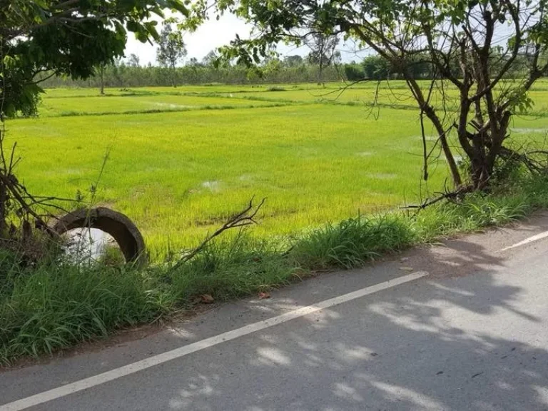 ที่ดิน โฉนด 2ไร่ ที่นาติดถนนดำ ตห้วยแห้ง อแก่งคอย จสระบุรี