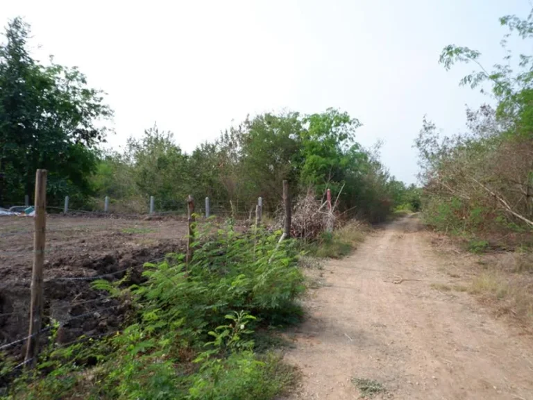 ที่ดิน โฉนด 2 งาน 10ตรว ตโพธิ์ตรุ อเมืองลพบุรี