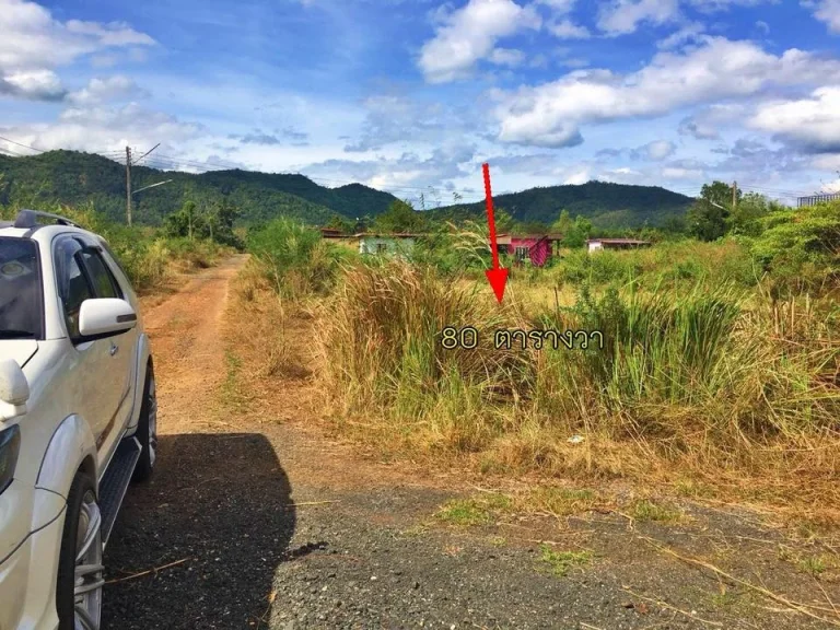 ที่ดิน โฉนด 80ตรว ตนางั่ว อเมืองเพชรบูรณ์