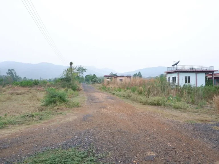 ที่ดิน โฉนด 80ตรว ตนางั่ว อเมืองเพชรบูรณ์