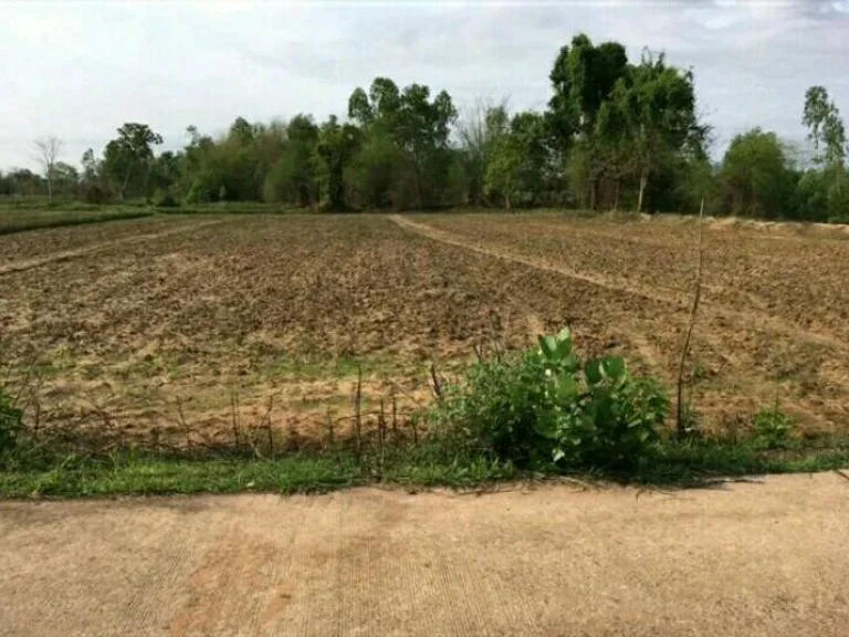 ที่ดินใกล้เซ็นทรัลอุดรธานี