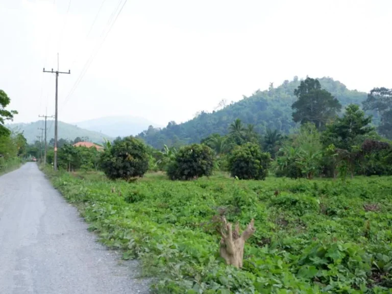 ที่ดิน โฉนด 3ไร่ มาบโสม ตชะอม อแก่งคอย จสระบุรี