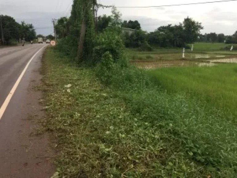 ขายที่ดินติดทางหลวงใกล้สะพานมิตรภาพไทย-ลาว ราคาถูกมาก