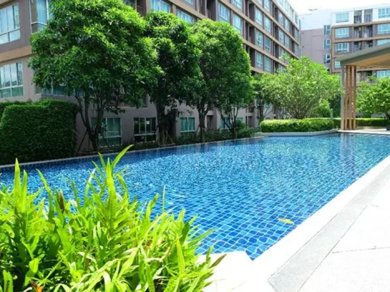 KT-0021 -คอนโดเช่า Dcondo Creek วิวสระว่ายน้ำมี 1 ห้องนอน 1 ห้องน้ำ 1 ห้องครัว 1 ที่จอดรถ ตกะทู้ อกะทู้