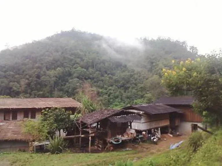 Lease Home Stay on the Hill Top Mountain in long term small districtKanyaniwattana Chiang Mai