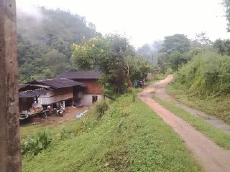 Lease Home Stay on the Hill Top Mountain in long term small districtKanyaniwattana Chiang Mai