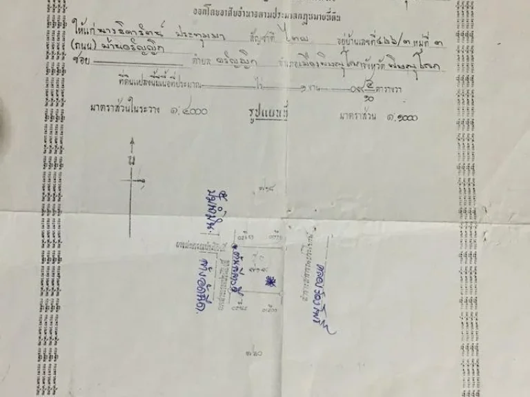 ขายที่ดิน 101 ตรว พิษณุโลก