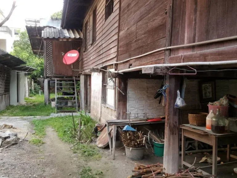 Land for sale in the old town ที่ดินประกาศขาย ในเขตคูเมืองชั้นใน เชียงใหม่