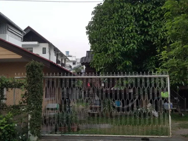 Land for sale in the old town ที่ดินประกาศขาย ในเขตคูเมืองชั้นใน เชียงใหม่