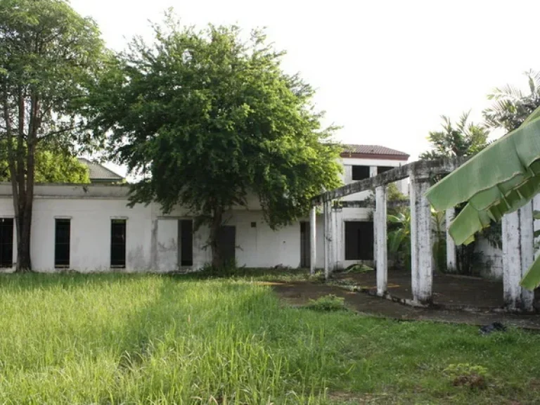 ที่ดินพร้อมสิ่งปลูกสร้าง บ้านสวนพุทธมณฑล พุทธมณฑลสาย 1 บรมราชชนนี ตลิ่งชัน กรุงเทพมหานคร