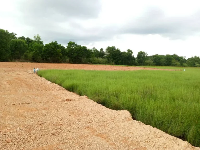 ที่สวย ใกล้ โครงการใหม่ ของราชการ กำลังสร้างกำแพง เหมาะแก่การลงทุนทำบ้านเช่า และอยู่อาศัย