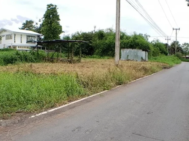 ขายที่ดินถมแล้ว ใกล้วัดพระธรรมกาย ซ84 แปลงสวย ติด อบตคลองสาม 200 ตรว ฟรีค่าโอน