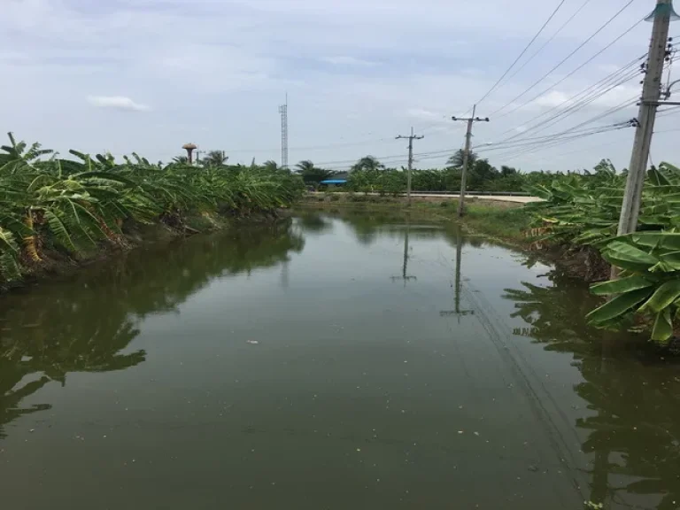 ที่ดินดินเปล่าขายถูกเลียบคลองสาม 12 ไร่ๆละ 2 ล้าน กว้าง 150 เมตร อไทรน้อย จนนทบุรี